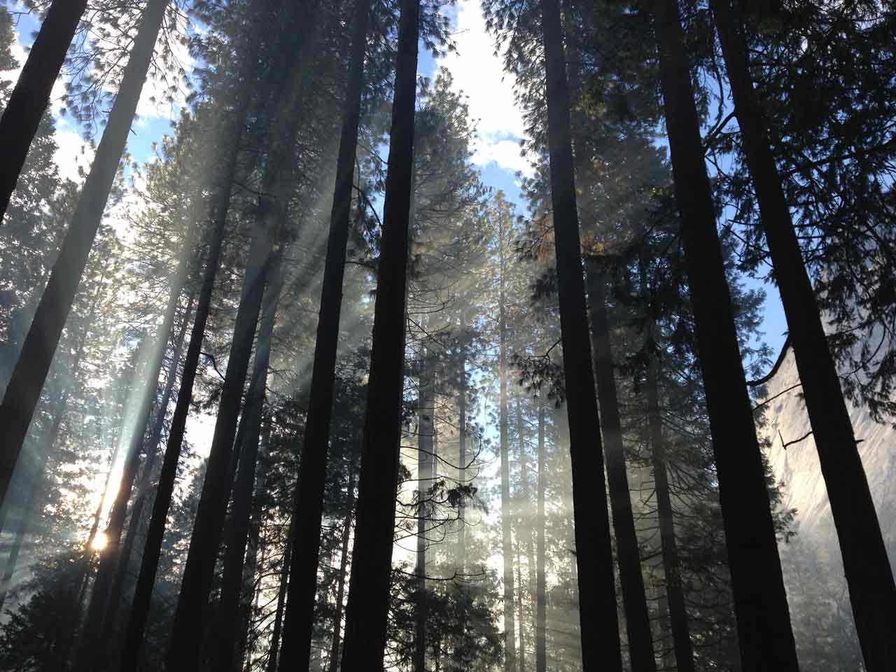 KLIMA - KLIMA